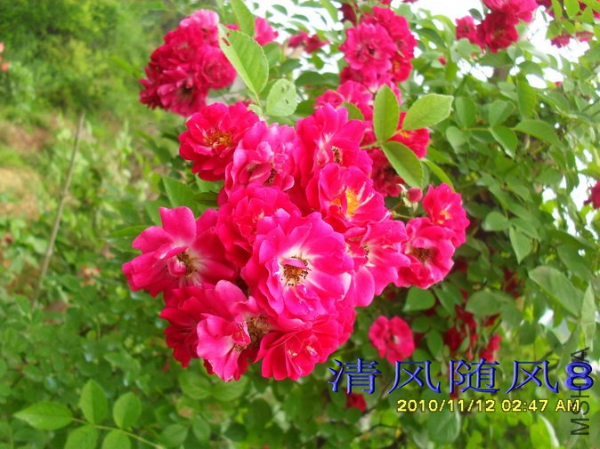 ���Ϻ����� (1).jpg