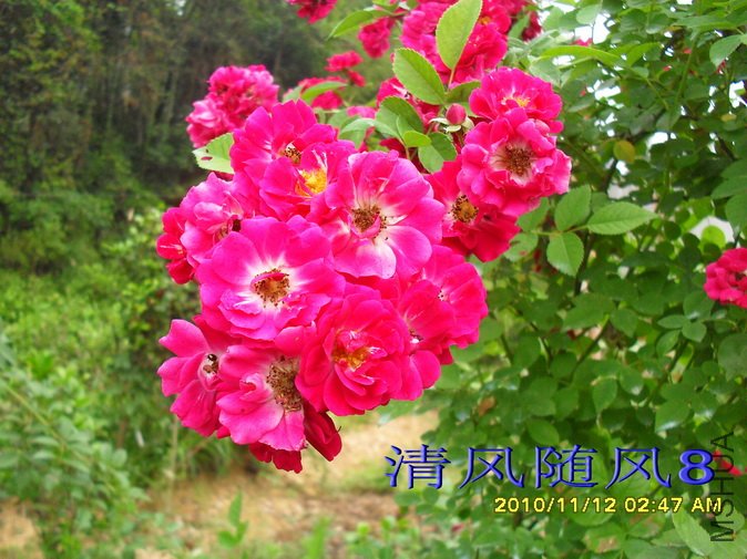 ���Ϻ����� (3).jpg