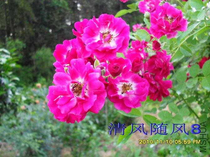 ���Ϻ����� (13).jpg