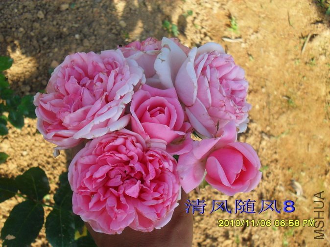 ������ά�ĸ���1 (1).jpg