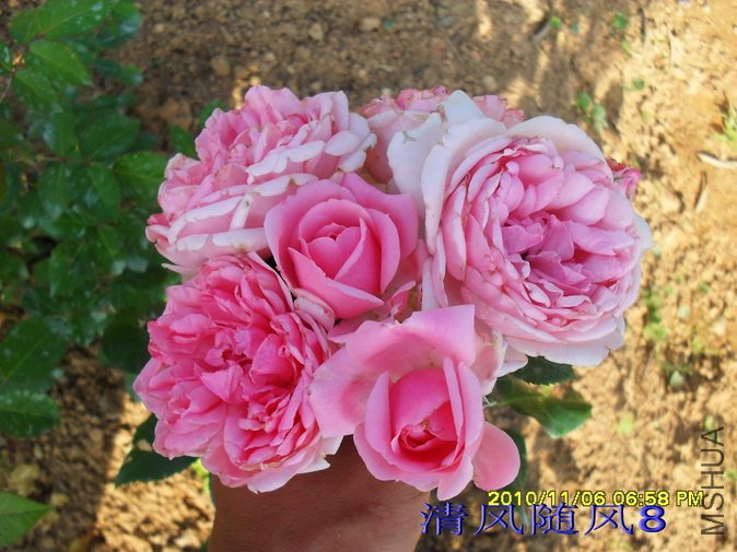 ������ά�ĸ���1 (2).jpg