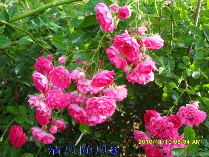 �ٷۺ�����1 (37).jpg