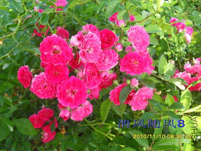 �ٷۺ�����1 (47).jpg