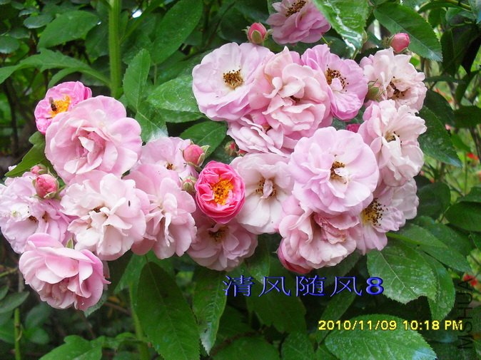 �߽���1 (4).jpg