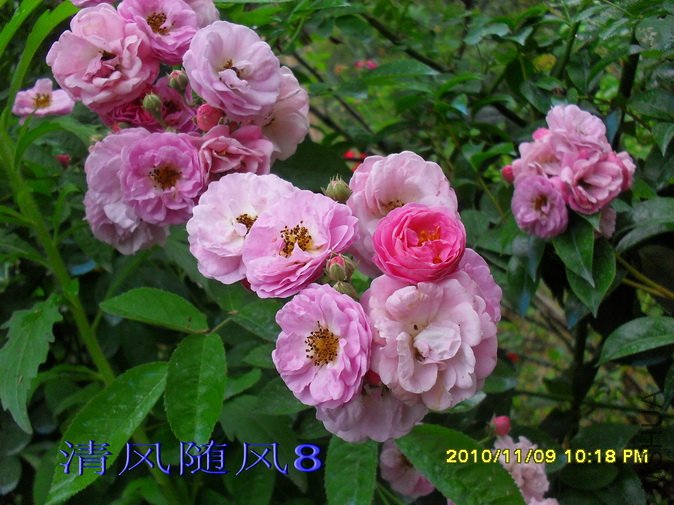 �߽���1 (5).jpg