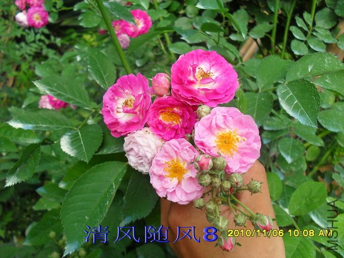 �߽���1 (13).jpg