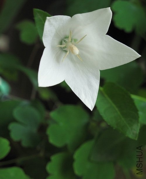 11��7�� 134.jpg