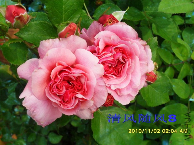 ���޹� (1).jpg