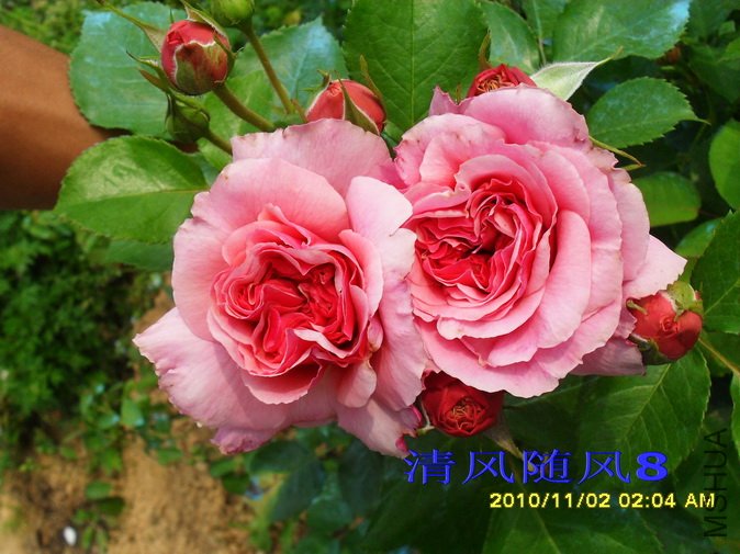 ���޹� (2).jpg