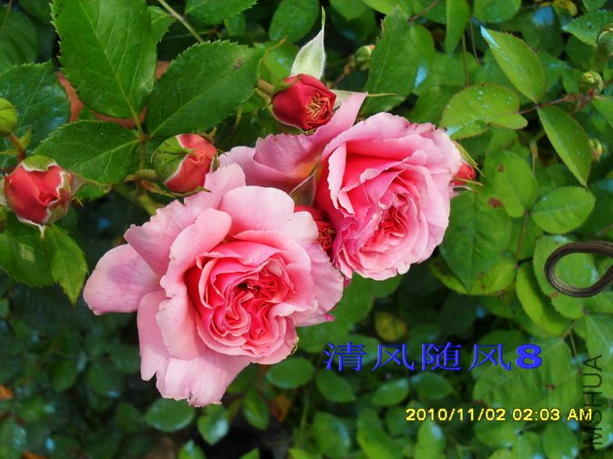 ���޹� (3).jpg