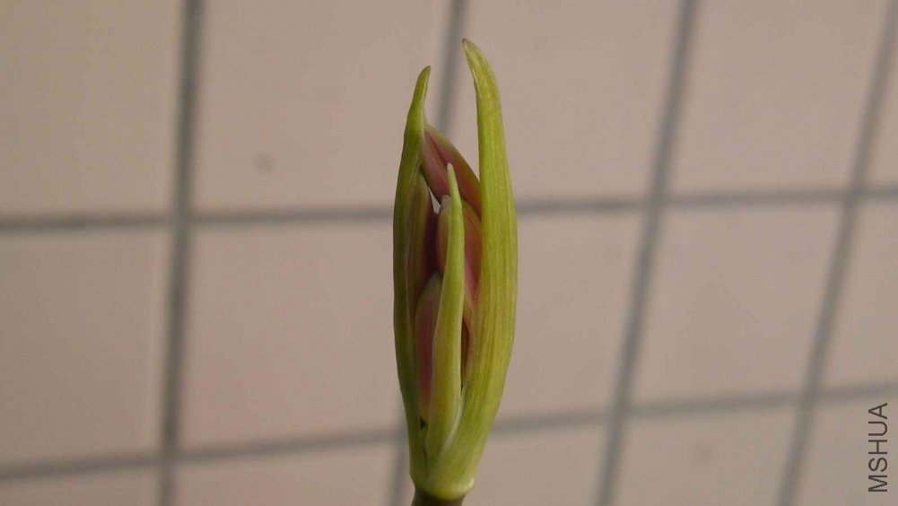 20110910167.JPG