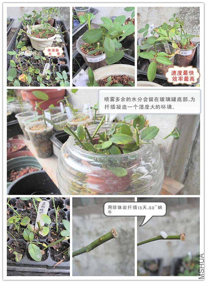 DSCN2139.jpg
