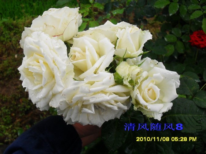 ̹���2 (5).jpg