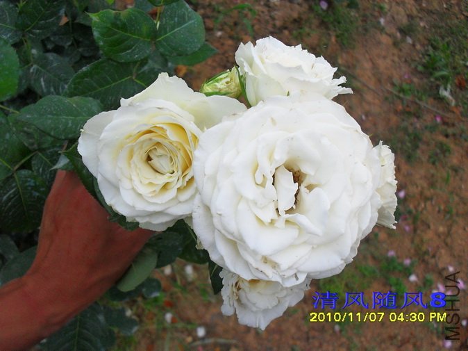 ̹���2 (1).jpg