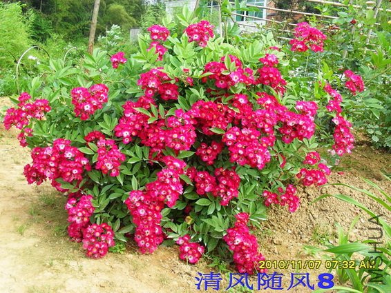 ���ڵ�����1 (5).jpg