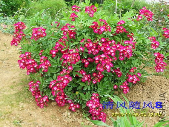 ���ڵ�����1 (4).jpg