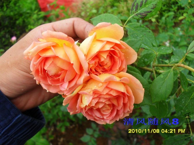 �����ط��� (16).jpg