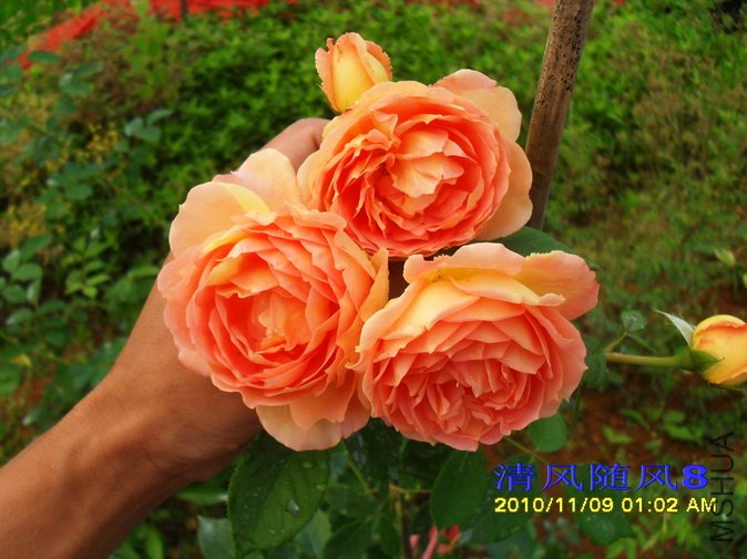 �����ط��� (25).jpg