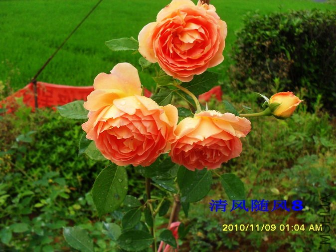 �����ط��� (30).jpg