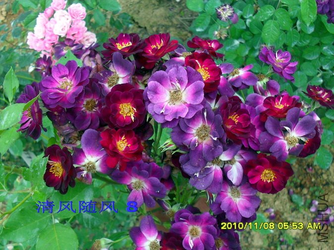 ����֮ҹ1 (22).jpg