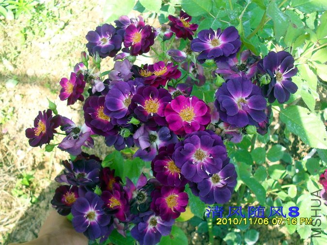 ����֮ҹ1 (7).jpg