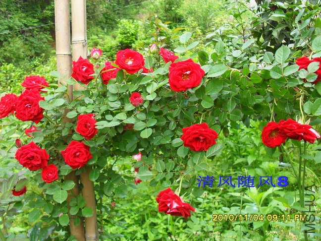 ����Ӫ1 (3).jpg