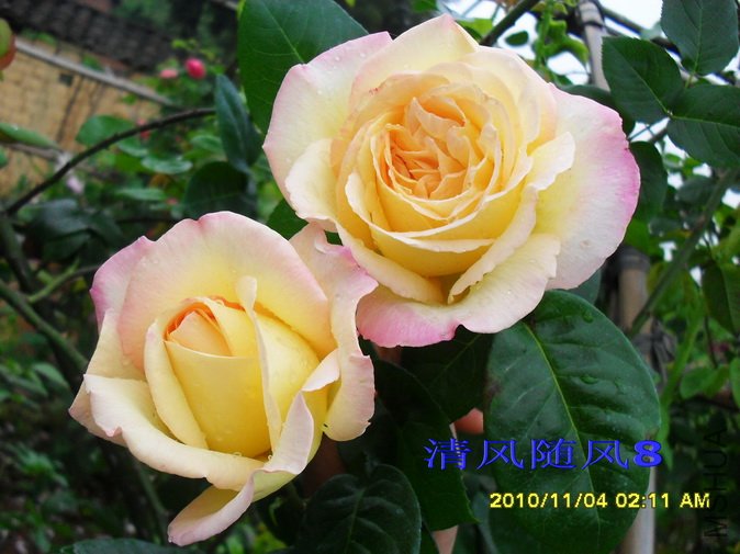 �ٻƺ�ƽ1 (14).jpg