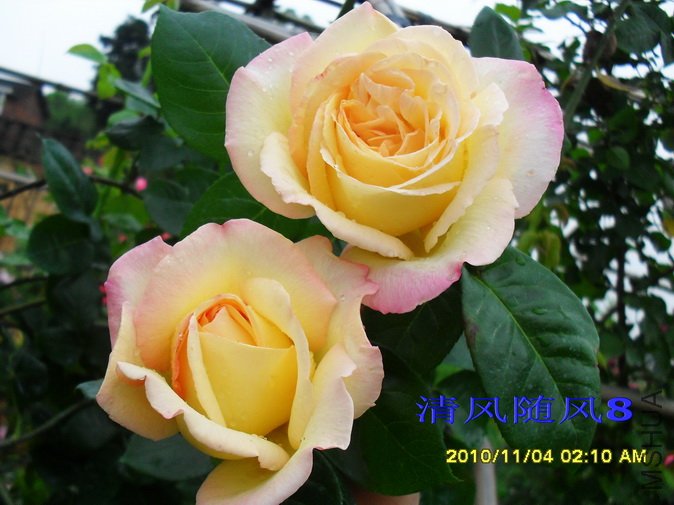 �ٻƺ�ƽ1 (16).jpg