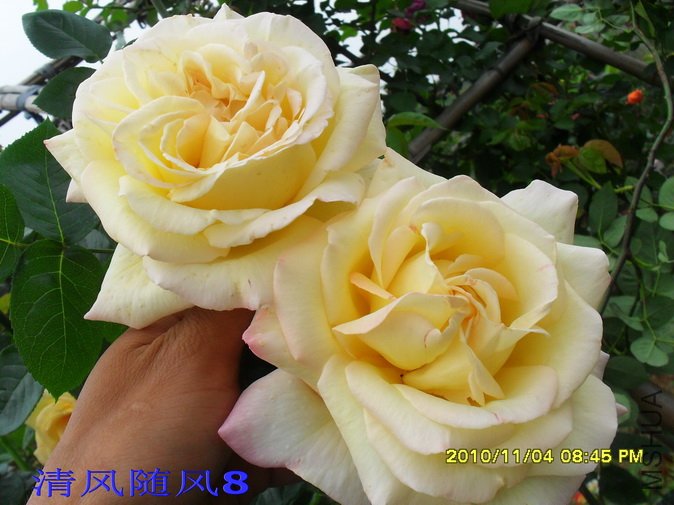 �ٻƺ�ƽ1 (4).jpg