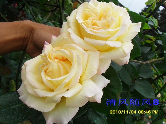 �ٻƺ�ƽ1 (7).jpg