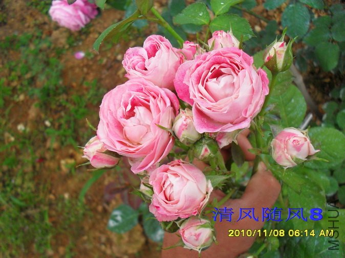 ������1 (1).jpg