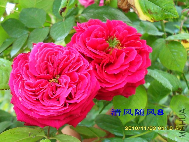 ����2 (7).jpg