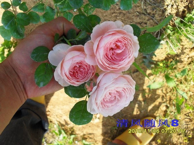 ����Ů��1 (13).jpg