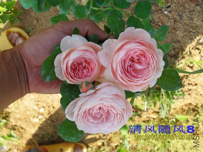 ����Ů��1 (21).jpg