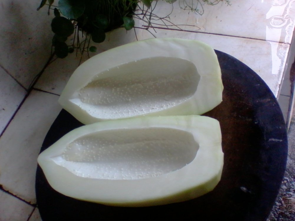 2011-09-10 11.28.40.jpg