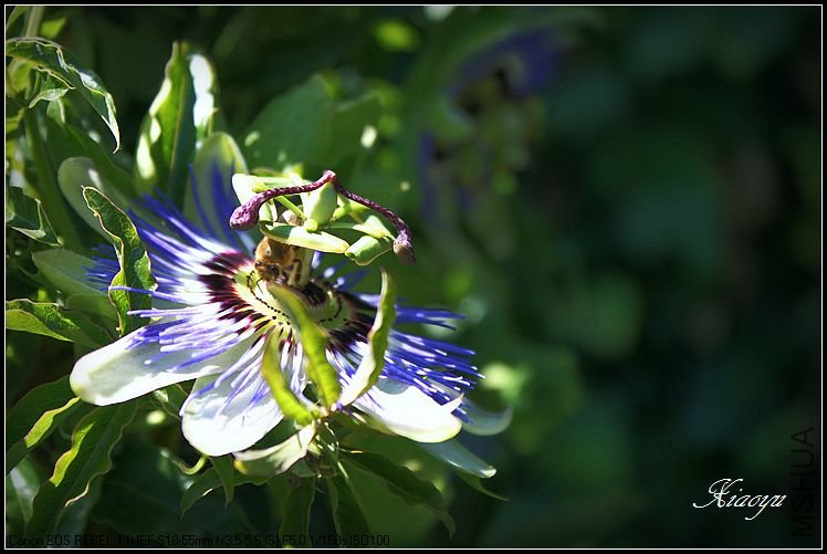 IMG_1526.JPG