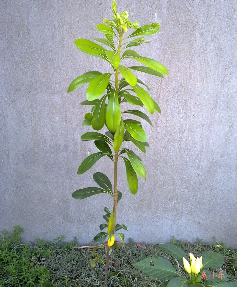 20110912445.jpg