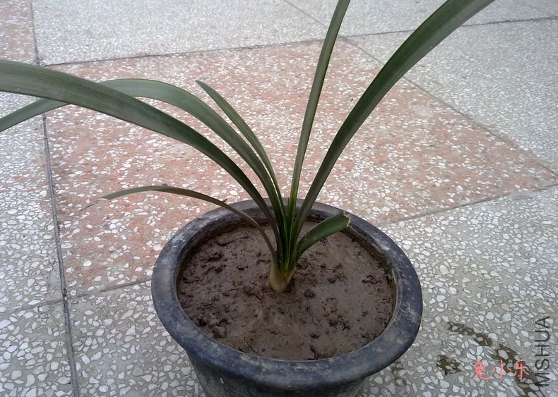 20110912459.jpg