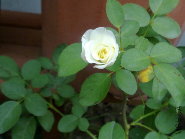 201109121889.jpg