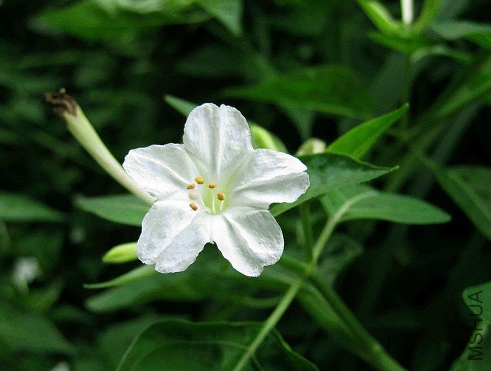 �½�ͼ�� 1.jpg