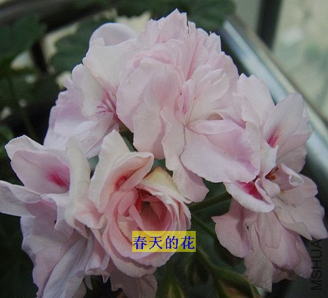 DSC00421.JPG