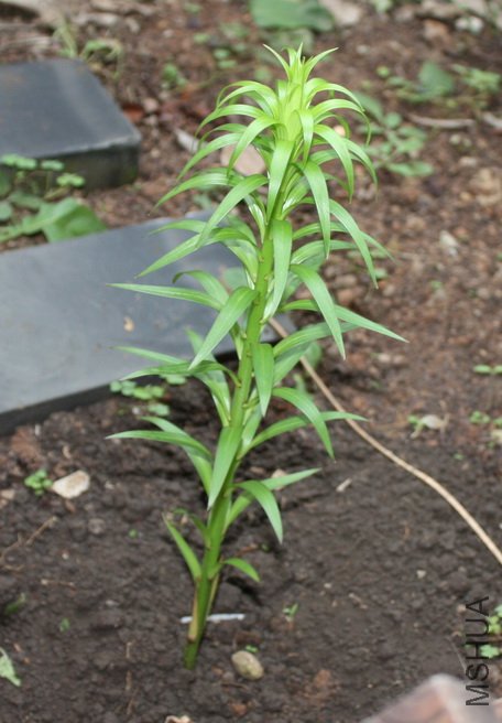 2011091403.jpg