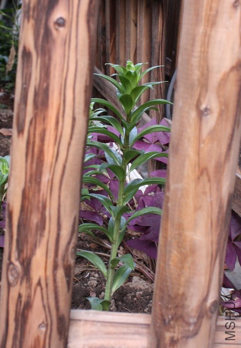2011091407.jpg