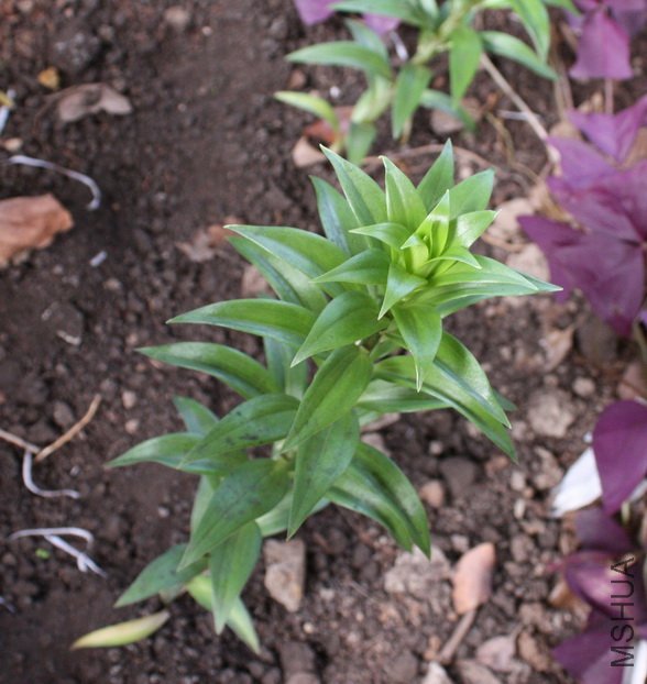2011091408.jpg