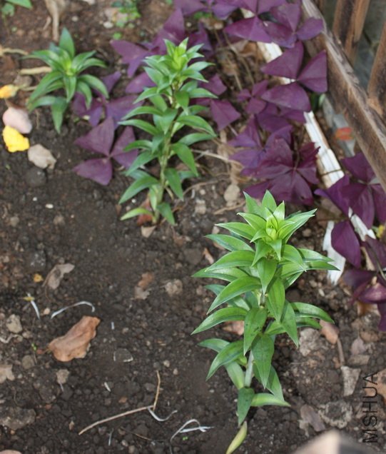 20110914001.jpg