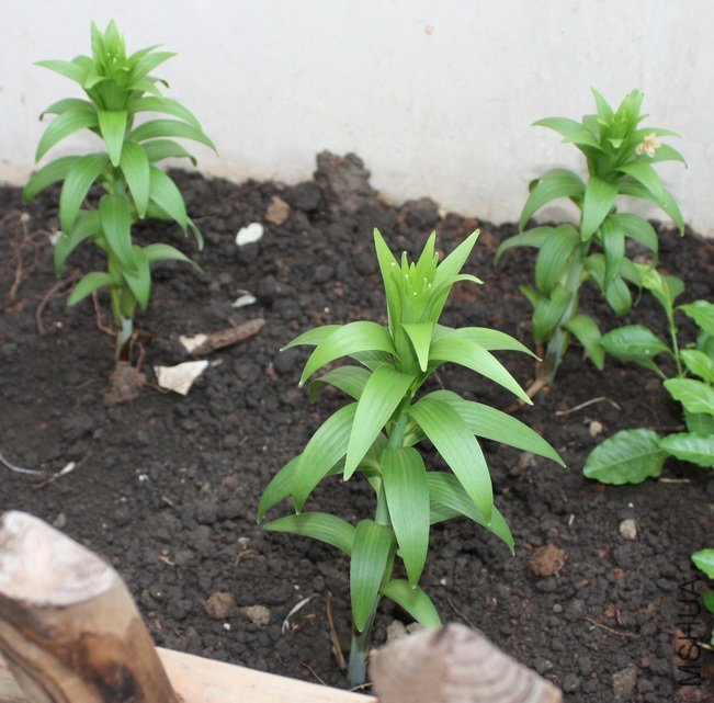 2011091406.jpg