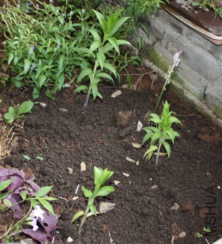 2011091402.jpg