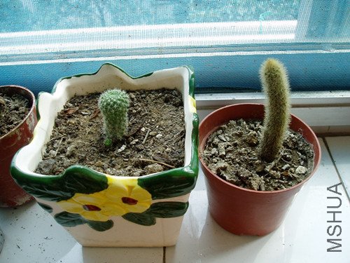 P1010296_����.jpg