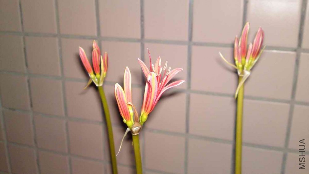 20110913173.JPG