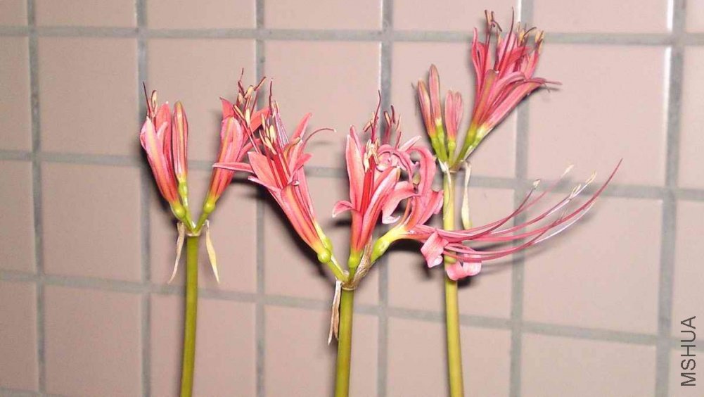 20110914177.JPG